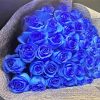 Aesthetic Blue Bouquet paint by numbers
