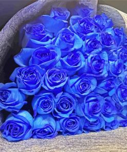 Aesthetic Blue Bouquet paint by numbers