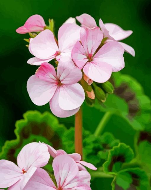 Apple Blossom paint by numbers