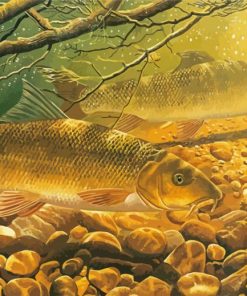 Barbel Fish paint by numbers