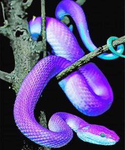 Bluish Purple Snake paint by numbers