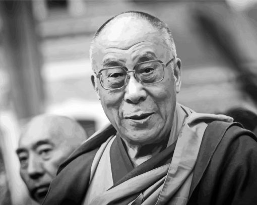 Black And White Dalai Lama paint by numbers