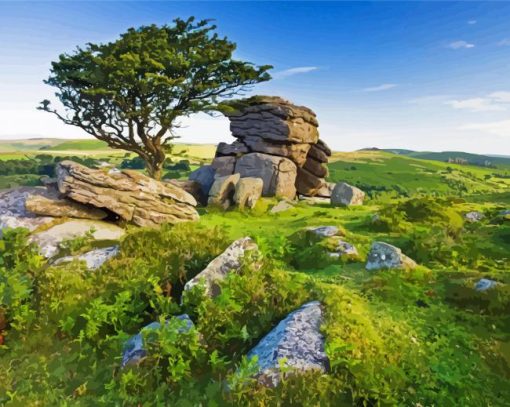 Dartmoor National Park paint by numbers