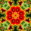 Flower Kaleidoscope paint by numbers