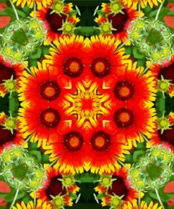 Flower Kaleidoscope paint by numbers