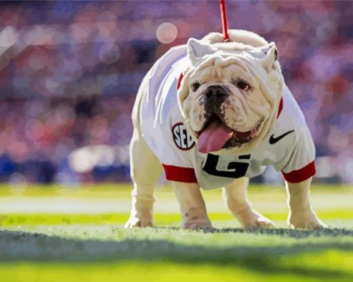 Georgia Bulldog Animal paint by numbers