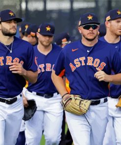 Houston Astros Team paint by numbers