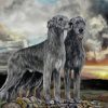 Irish Wolfhound Dogs Art paint by numbers