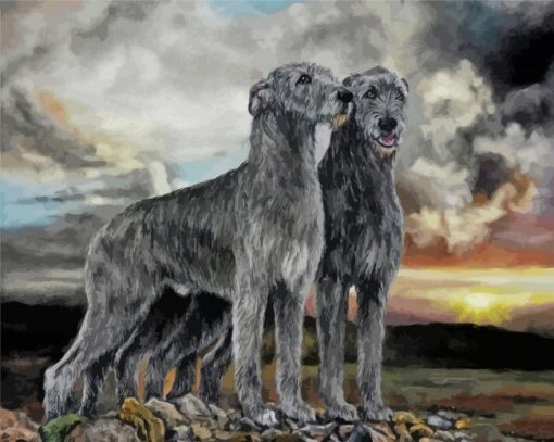 Irish Wolfhound Dogs Art paint by numbers