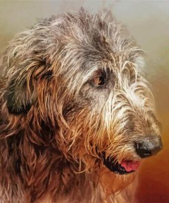 Irish Wolfhound Head paint by numbers