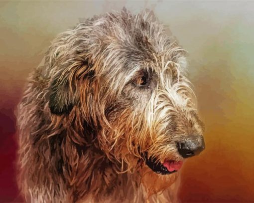 Irish Wolfhound Head paint by numbers