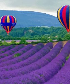 Lavender Hot Air Balloons paint by numbers