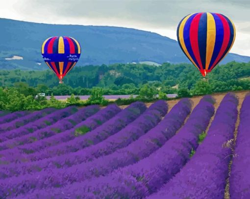 Lavender Hot Air Balloons paint by numbers