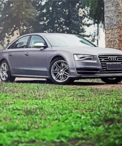 Luxury Audi S8 paint by numbers