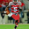 Ohio State Buckeyes Team Player paint by numbers