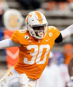 Tennesse Bold Player paint by numbers