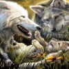 Wolves With Pups paint by numbers
