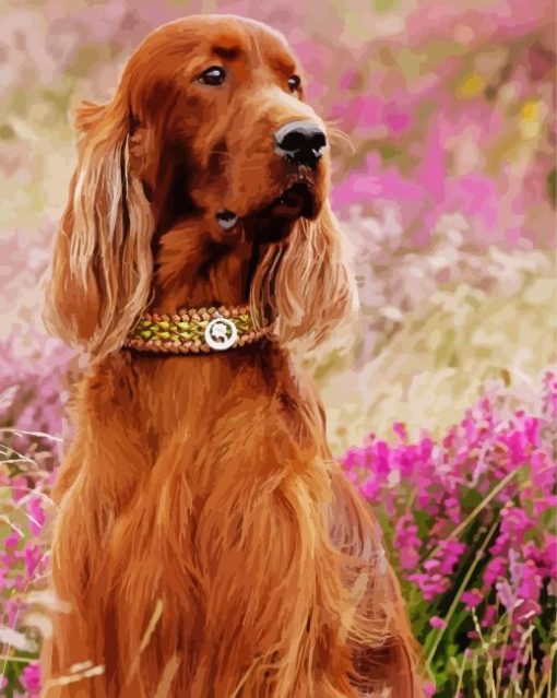 Aesthetic Red Setter paint by numbers