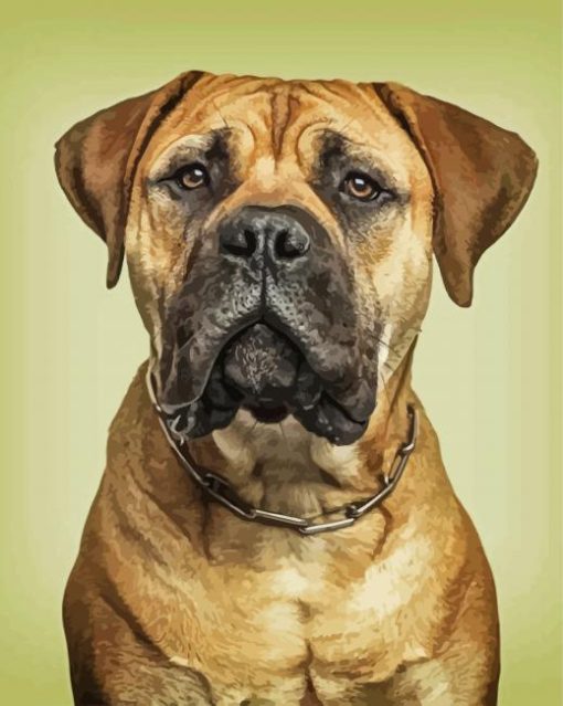 Aesthetic Bull Mastiff paint by numbers