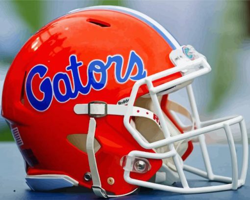 Aesthetic Florida Gators paint by numbers