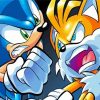 Angry Sonic And Tails paint by numbers