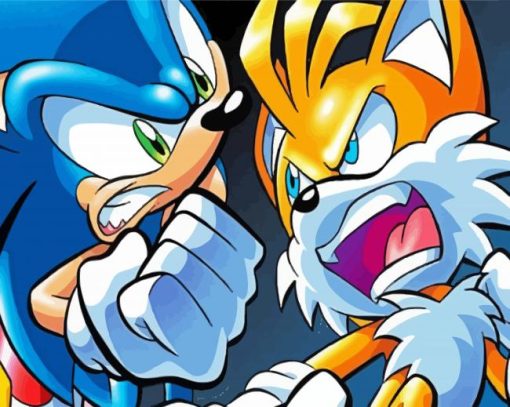 Angry Sonic And Tails paint by numbers
