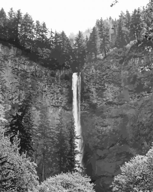 Black And White Multnomah Falls paint by numbers