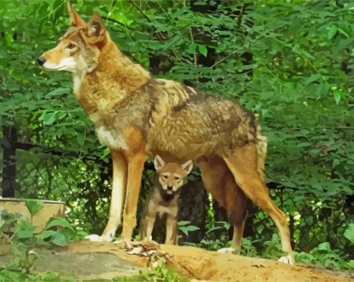 Cute Wolf With Pup paint by numbers