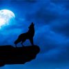 Moon With Howling Wolf Silhouette paint by numbers