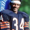 The American Football Player Walter Payton paint by numbers