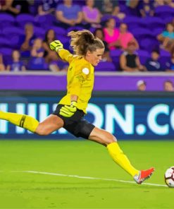 Uswnt Goalkeeper paint by numbers
