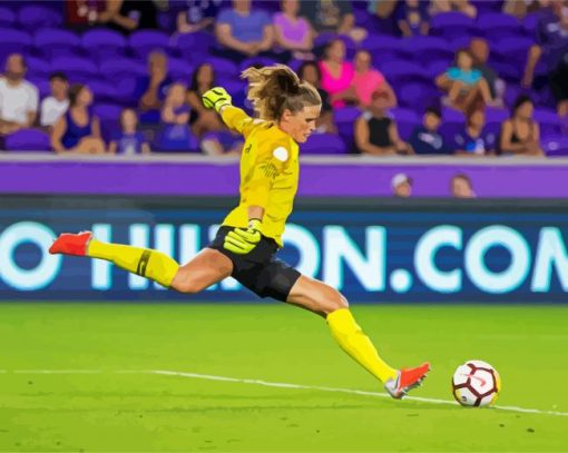 Uswnt Goalkeeper paint by numbers