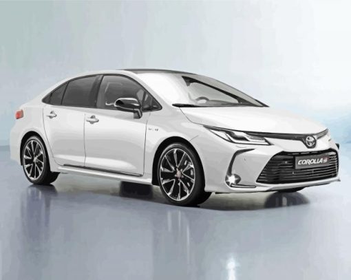 White Sport Corolla Car paint by numbers