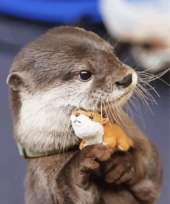 Adorable Cute Otter paint by numbers