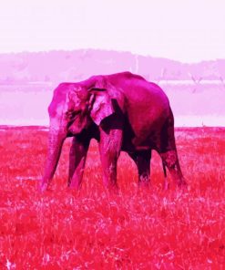 Aesthetic Pink Elephant paint by numbers