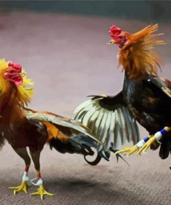 Artistic Rooster Fight paint by numbers