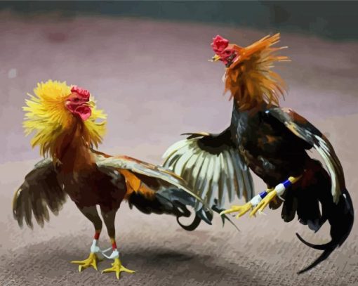 Artistic Rooster Fight paint by numbers