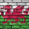Artistic Welsh Flag paint by numbers