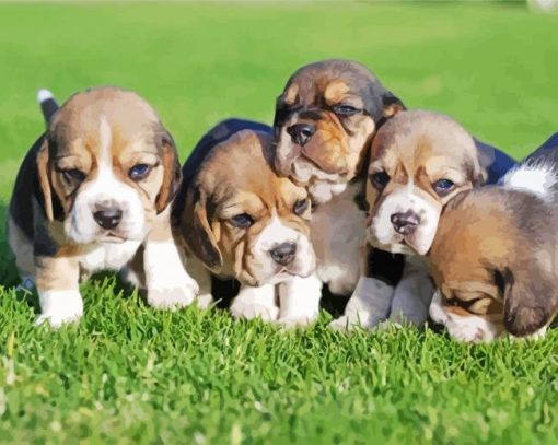 Baby Beagles Puppies paint by numbers