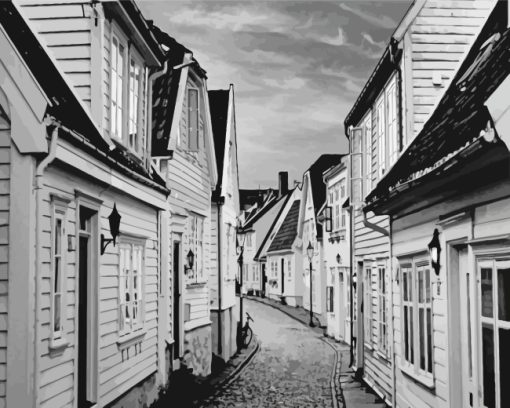 Black And White Stavanger House paint by numbers