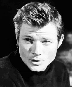 Black And White Young Michael Parks Paint By Numbers