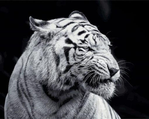 Black And White Animal paint by numbers