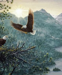 Eagles Nest Art Paint By Numbers