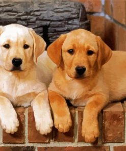 Golden Labrador Puppies paint by numbers