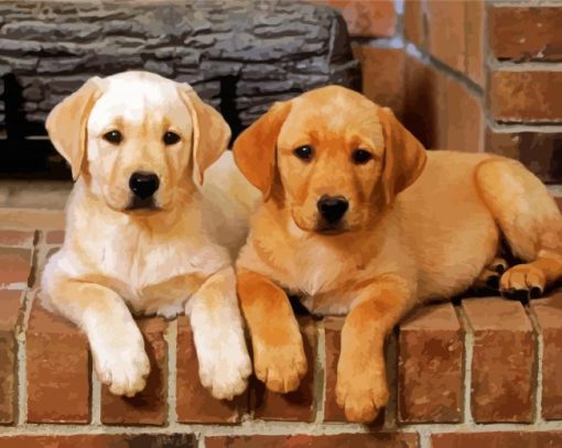 Golden Labrador Puppies paint by numbers