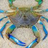 Green And Blue Crab Paint By Numbers