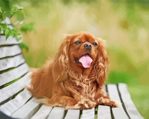 Happy Cavalier King Charles Spaniel paint by numbers