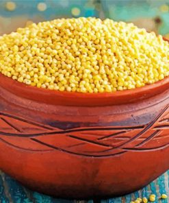 Millet In Bowl paint by numbers