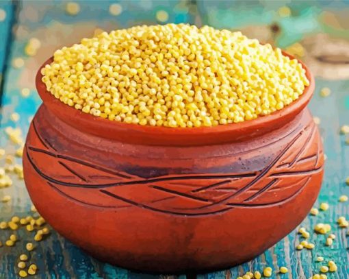 Millet In Bowl paint by numbers