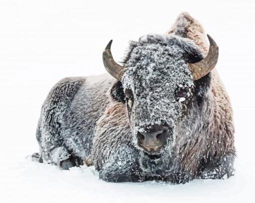 Snow Animal Frozen Bison paint by numbers